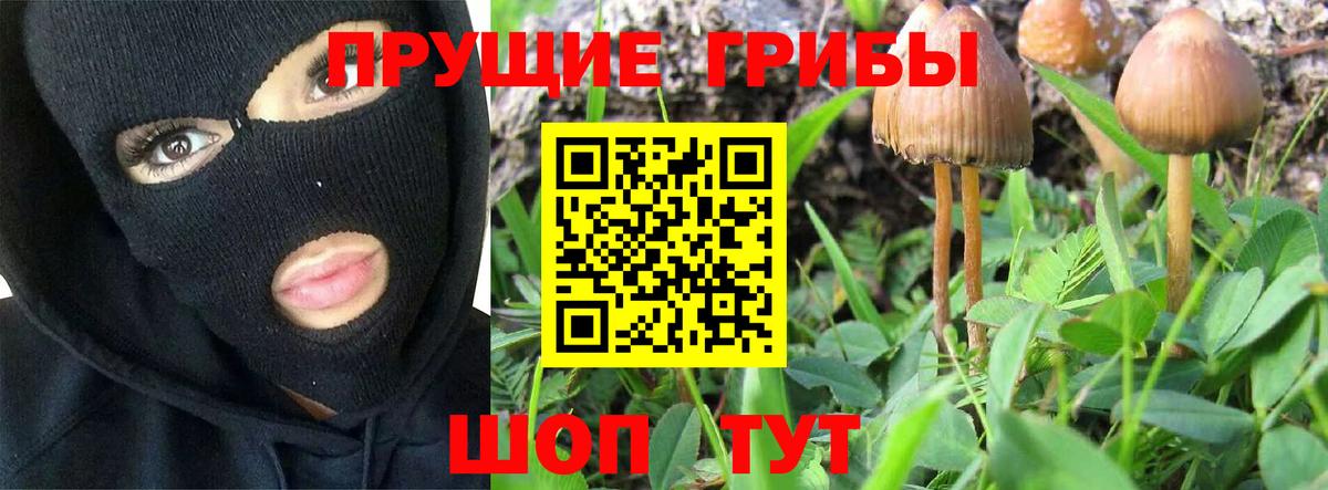 Псилоцибиновые грибы Magic Shrooms Заринск